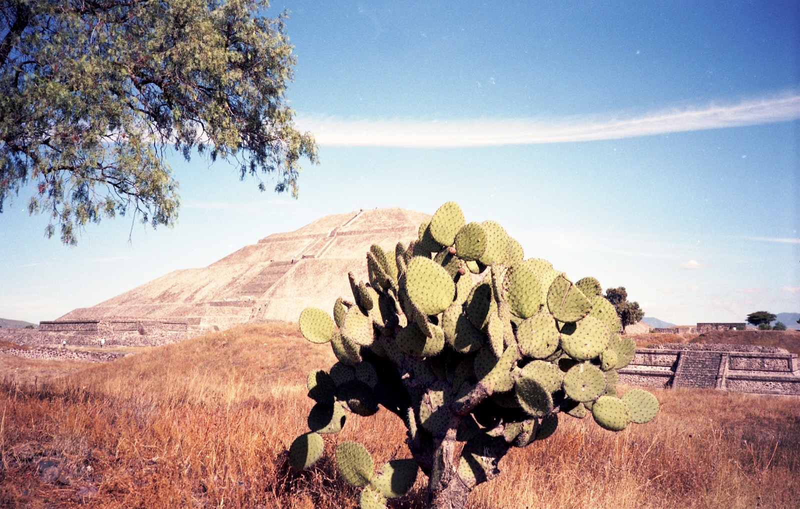 19961111 035   Teotihuacan   Mexico Film 03 Fnr 029